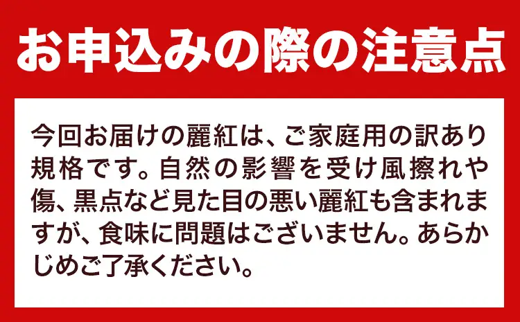 みかん 訳あり 麗紅 5kg 麗紅