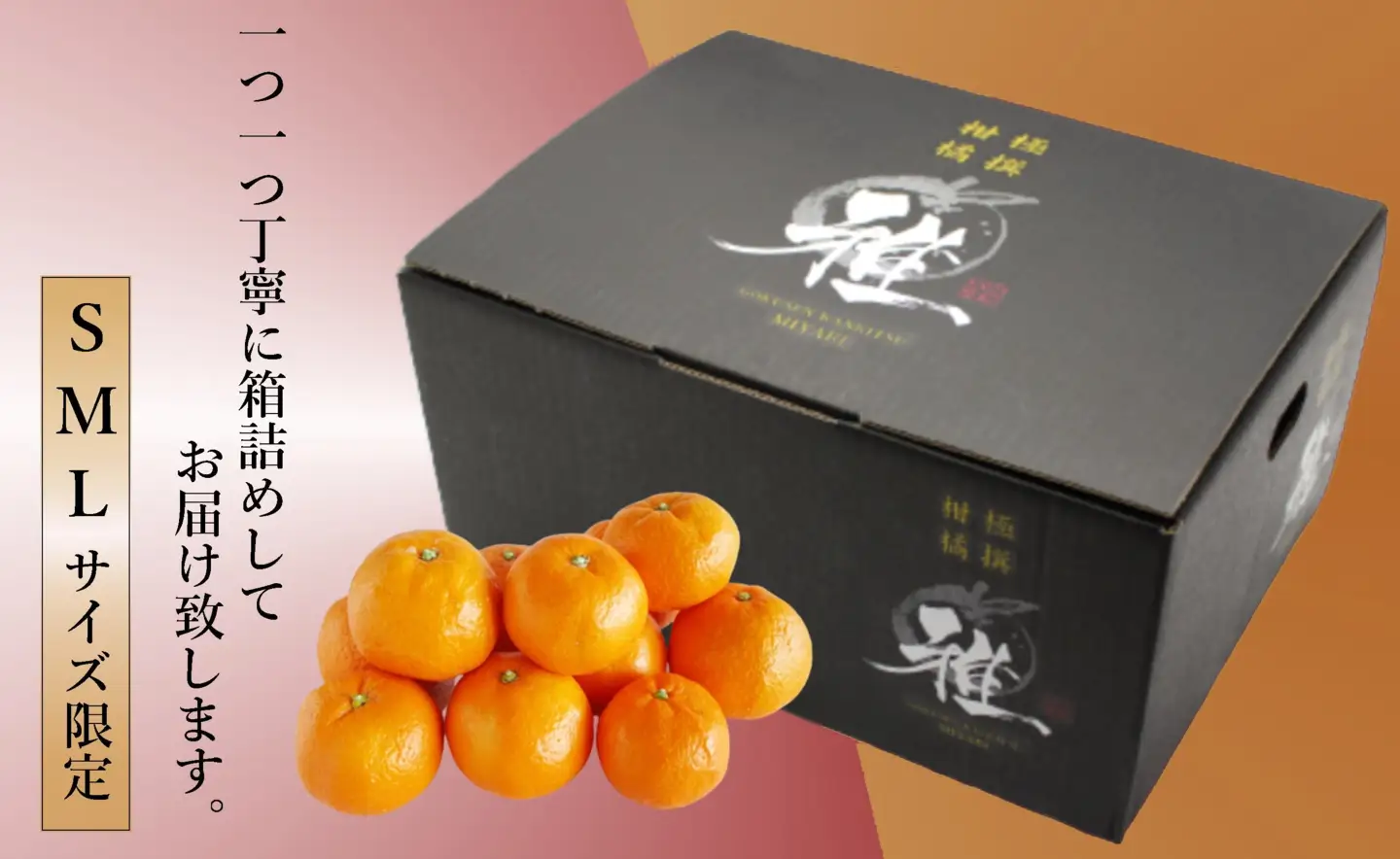 特撰柑橘【雅】光センサー合格品「八幡浜温州みかん」約5キロ 【D39-54】【配送不可地域：離島】【1491404】 YWTF029