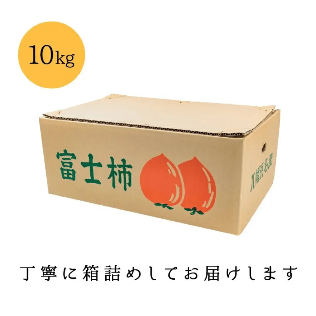 《八幡浜特産 国内最大級の 柿》 富士柿 10kg 種無し【訳あり】【F20-22】【1094601】 YWTI018
