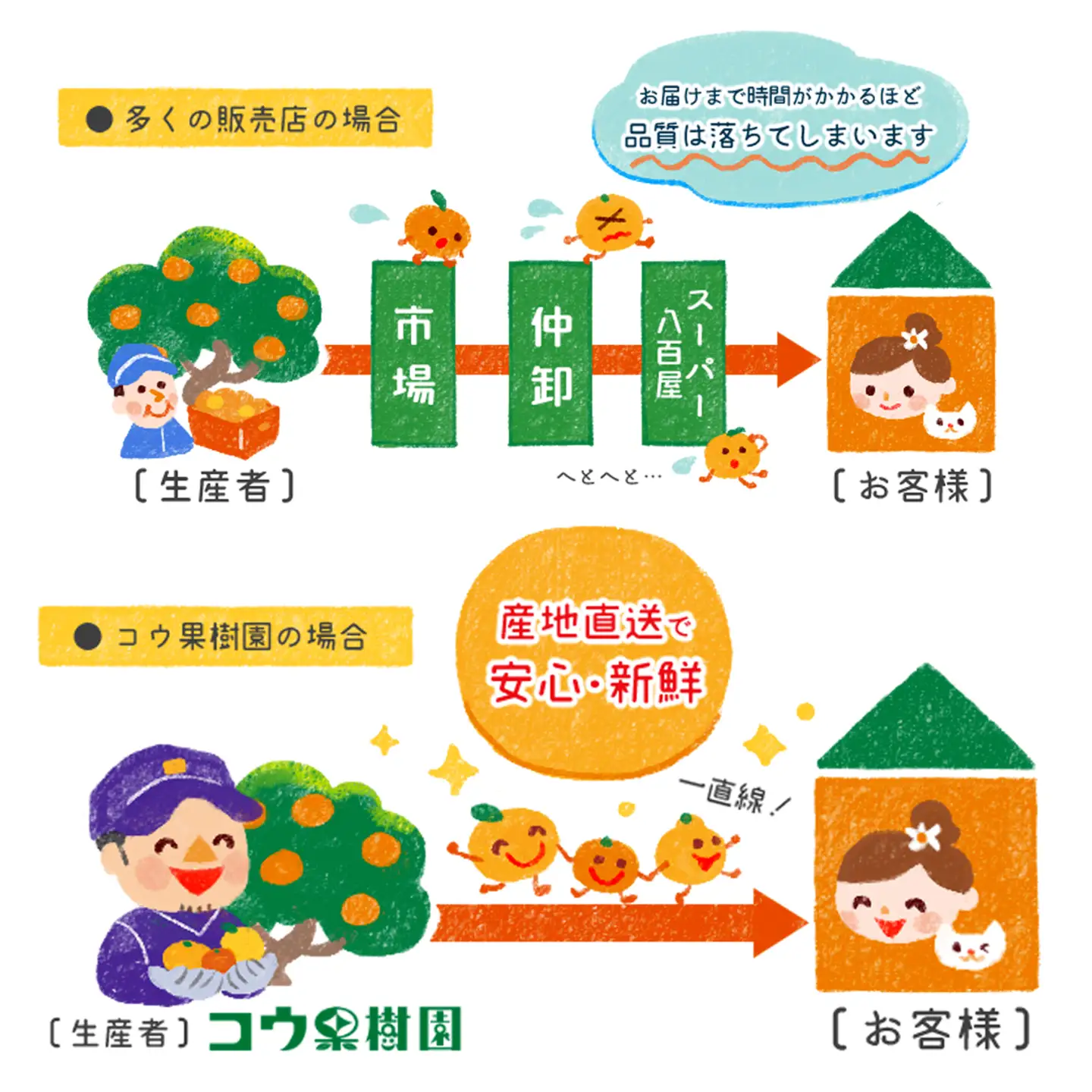 【先行受付】コウ果樹園の「きよみ」大ボリューム7kg【C33-19】【1064379】 YWTG007