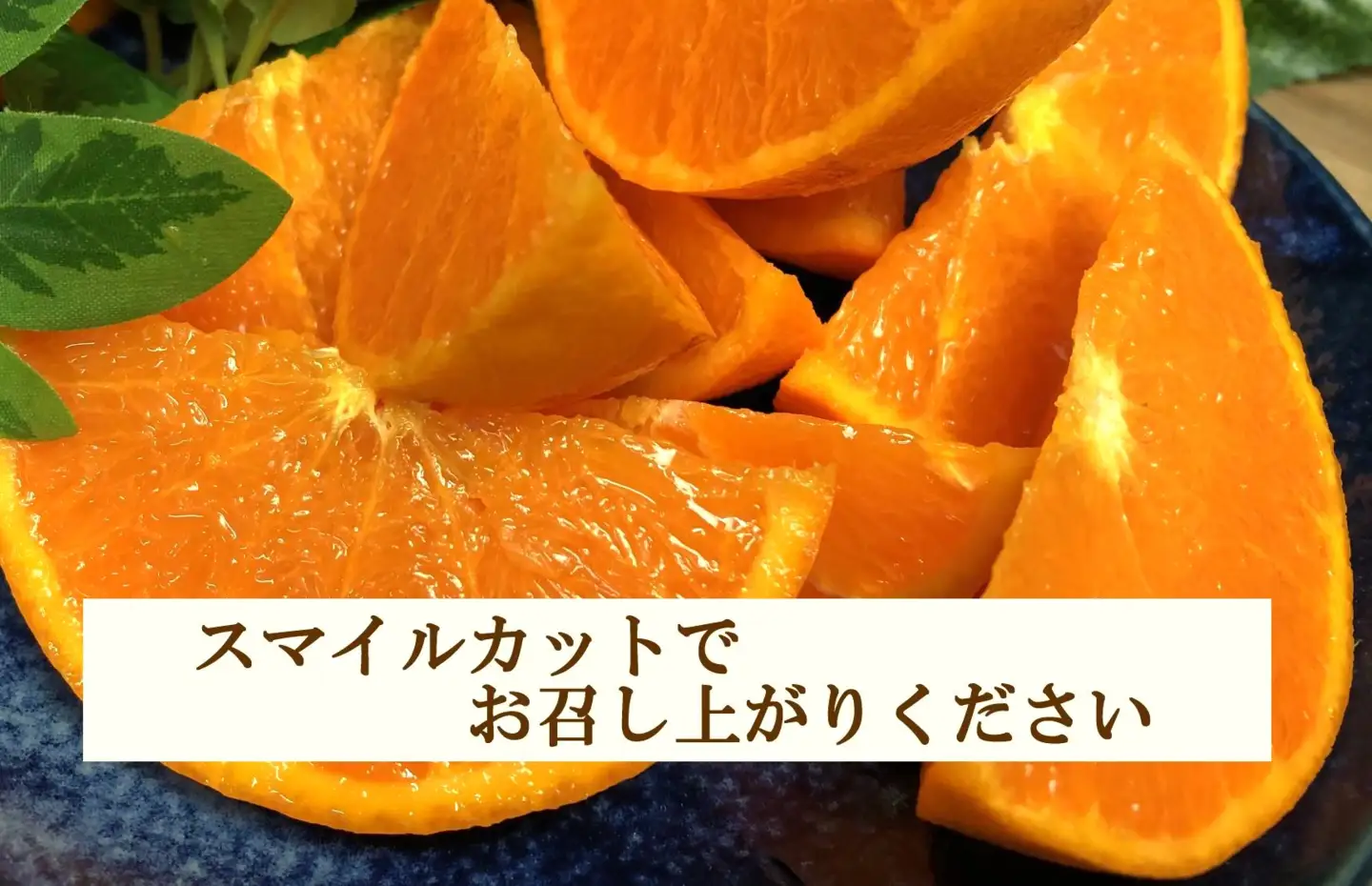 2026年11月発送開始　ぷるぷる新食感「マドンナ」約4kg　【D39-31】【1149494】 YWTF013