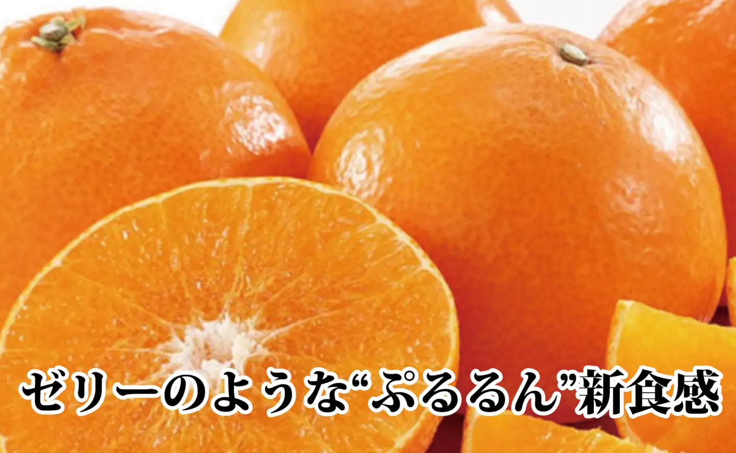 ギフト対応化粧箱入・上杉農園のぷるぷる新食感!「マドンナ」約3kg【D39-16】【1251804】 YWTF008