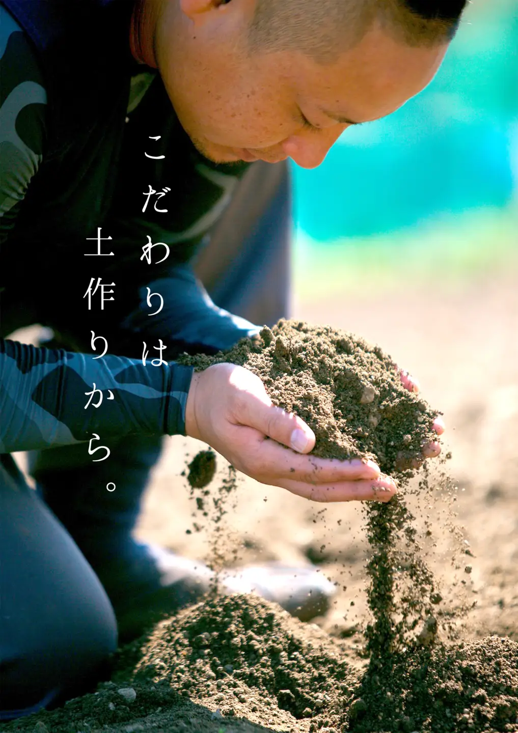 【発送月固定定期便】コウ果樹園の旬の柑橘定期便(11月-4月)【H33-40】全6回【4052188】 YWTG022