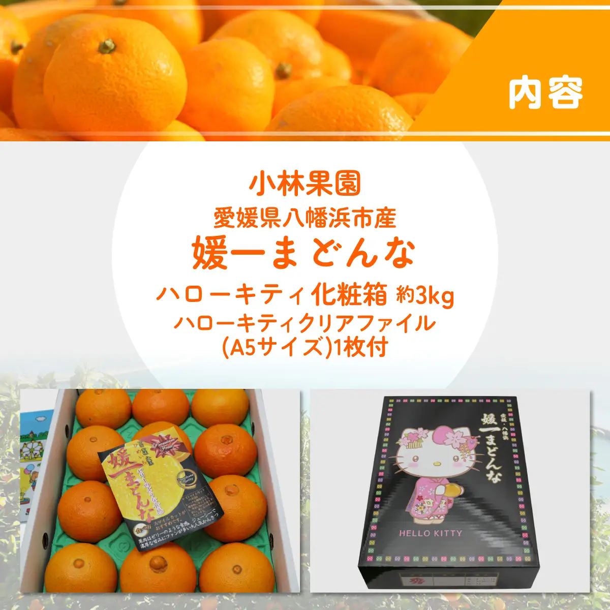 【先行受付】媛一まどんな ハローキティパッケージ3kg入り【大切な方への贈り物に】【D24-8】【1518656】 YWTAD005