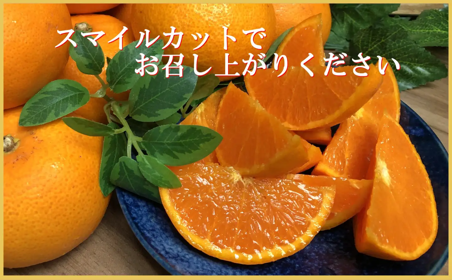 極撰柑橘【雅】光センサー合格品・柑橘の大トロ「 せとか 」約3キロ【D39-71】【配送不可地域：離島】【1620367】 YWTF046