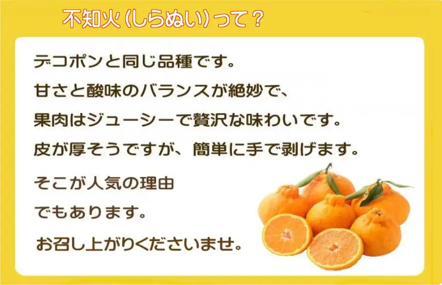 2027年2月～順次出荷　甘さと酸味の絶妙なバランス!はじける果肉「不知火」約5キロ【D39-73】【配送不可地域：離島】【1620478】 YWTF048