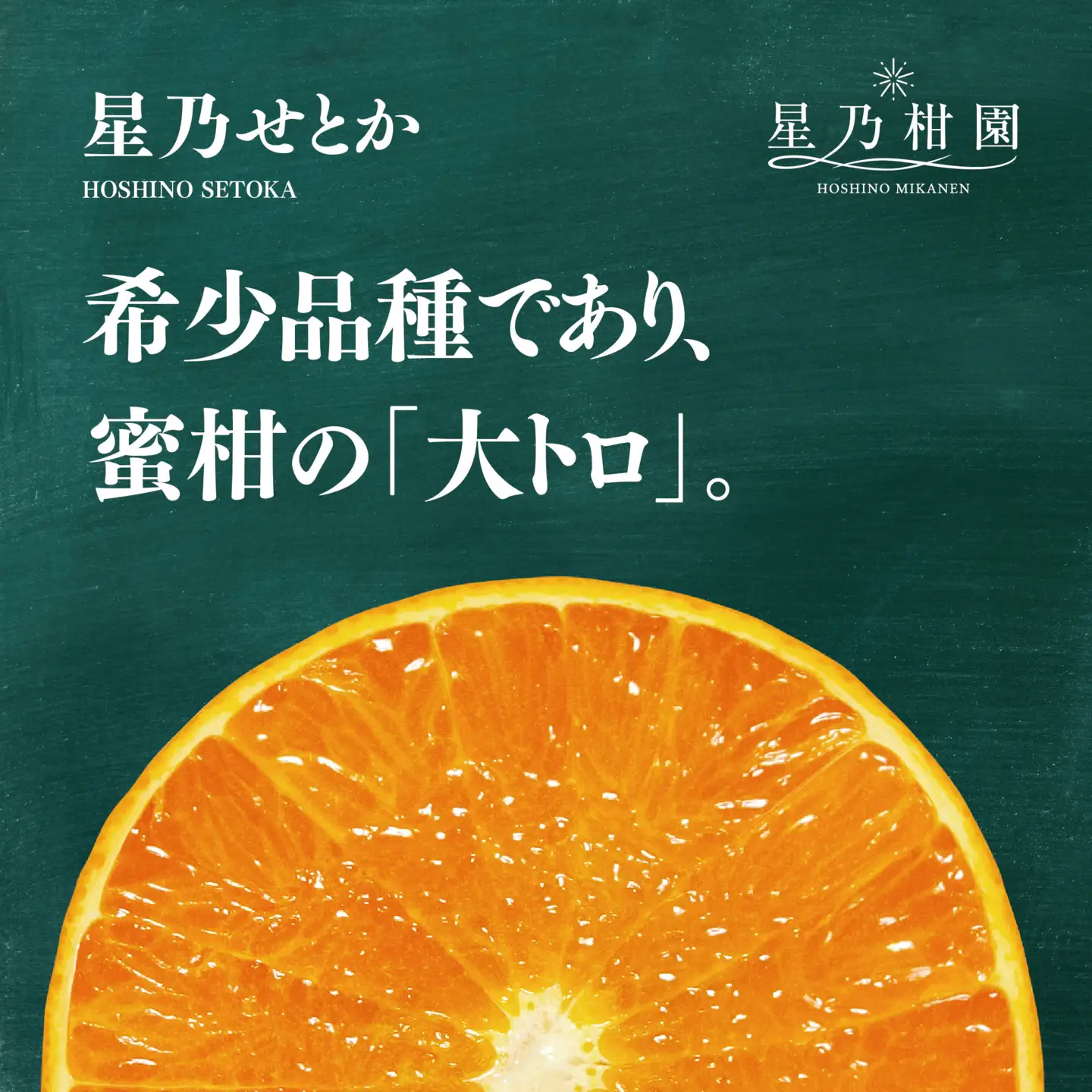 【訳あり】星乃せとか 柑橘の大トロ(2kg)【C45-92】【1625775】 YWTAZ054