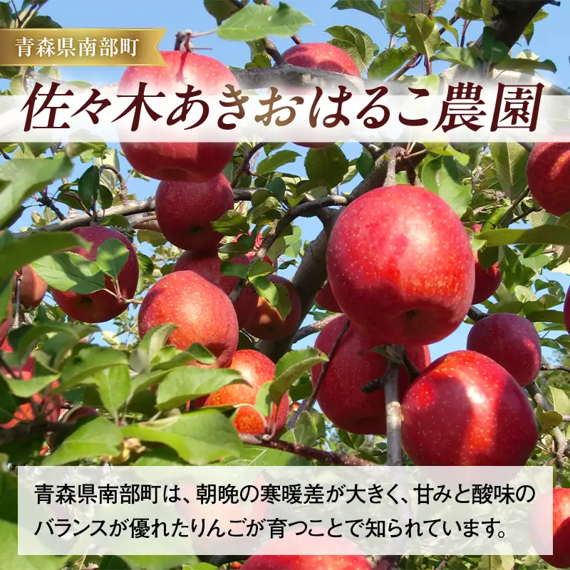 「はるか、きた。」りんごジュース 1L×6本セット 【佐々木あきおはるこ農園】 F21U-689