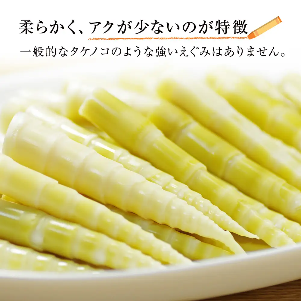 2027年発送予約】天然 根曲がり竹 1kg 根曲竹 ネマガリタケ 姫竹 笹竹
