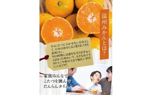  温州みかん 10kg ※2026年12月上旬～12月下旬頃に順次発送予定(お届け日指定不可) / 温州 密柑 JA 糖度 甘い 光センサー ゆらみかん 由良町 ミカン  柑橘 期間限定 和歌山県産【jahd004-r-10】