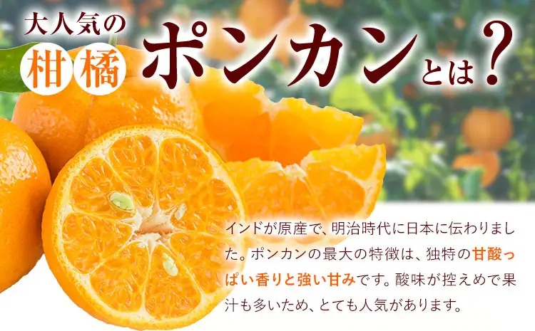 ポンカン 和歌山県産 ポンカン 約10kg