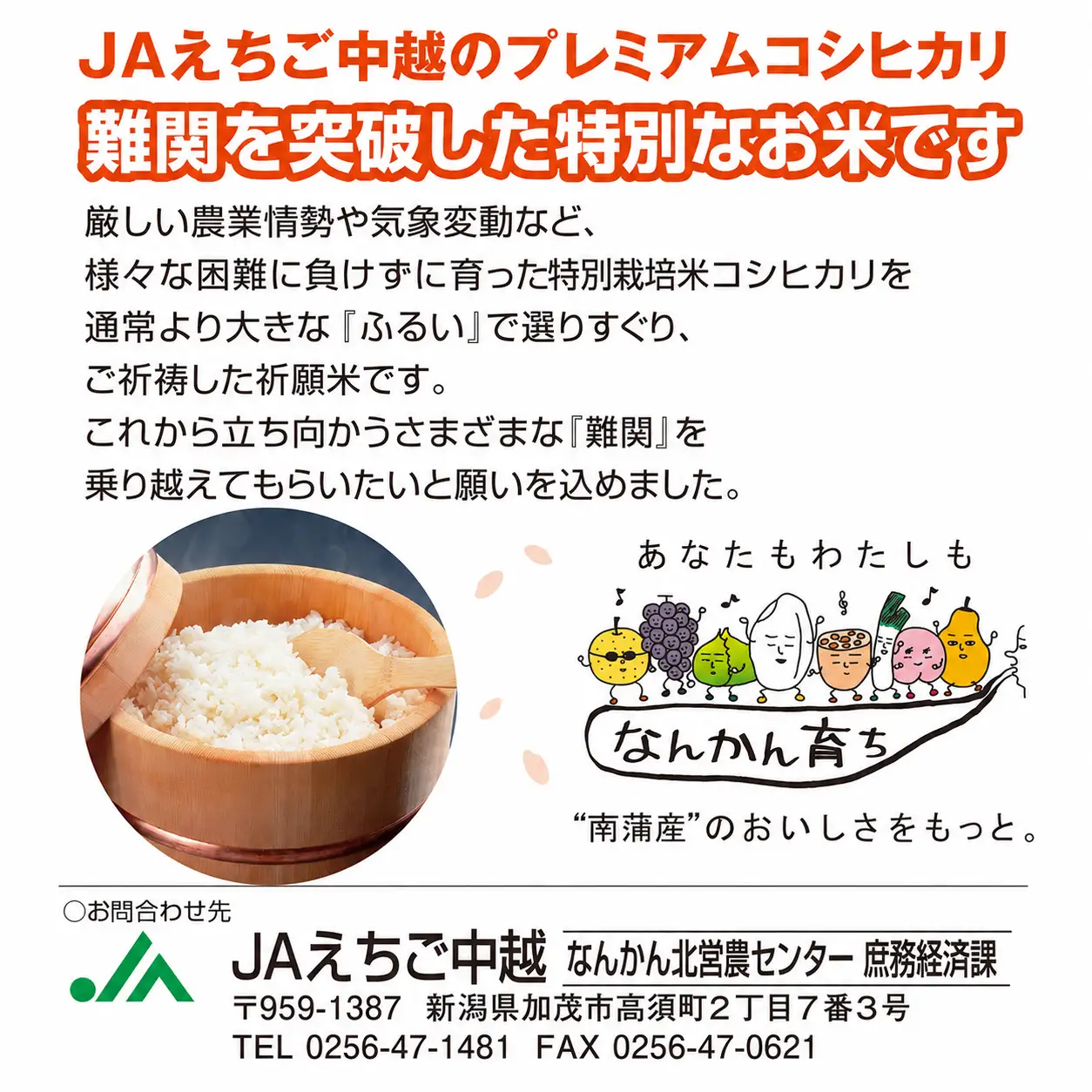 令和7年産新潟県産コシヒカリ 難関突破米 精米5kg なんかん米