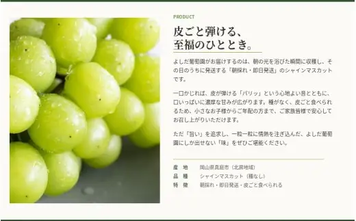 シャインマスカット【2026年先行予約】糖度18度以上 朝採れ 1kg (2房または3房) ぶどうの概念が変わる よしだ葡萄園の極上品【10月上旬～10月下旬頃に順次発送】 / ぶどう シャインマスカット 果物 フルーツ 大粒 贈答品 贈り物 岡山県 真庭市【ysdb001】
