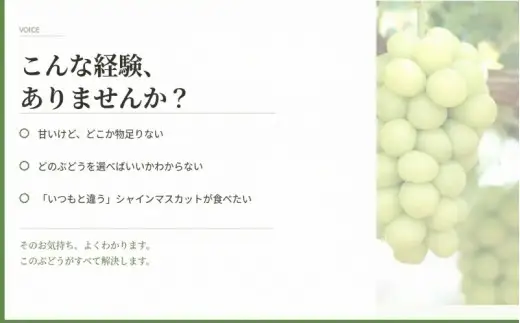 マスカサーティーン【シャインマスカット希少品種】1 kg【2026年先行予約】【ysdb004】