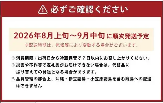 【先行予約】渡辺農園 いちじく (とよみつひめ) 2パック 【2026年8月上旬～2026年9月中旬 出荷予定】 フルーツ 果物 果実 常温 送料無料 福岡県 うきは市