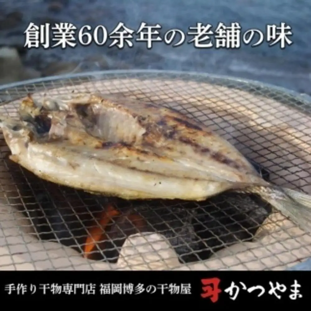 【全12回定期便】昔ながらの製法で作った干物詰合せ 全6種22枚×12回 | 魚 お魚 さかな 食品 人気 おすすめ 送料無料