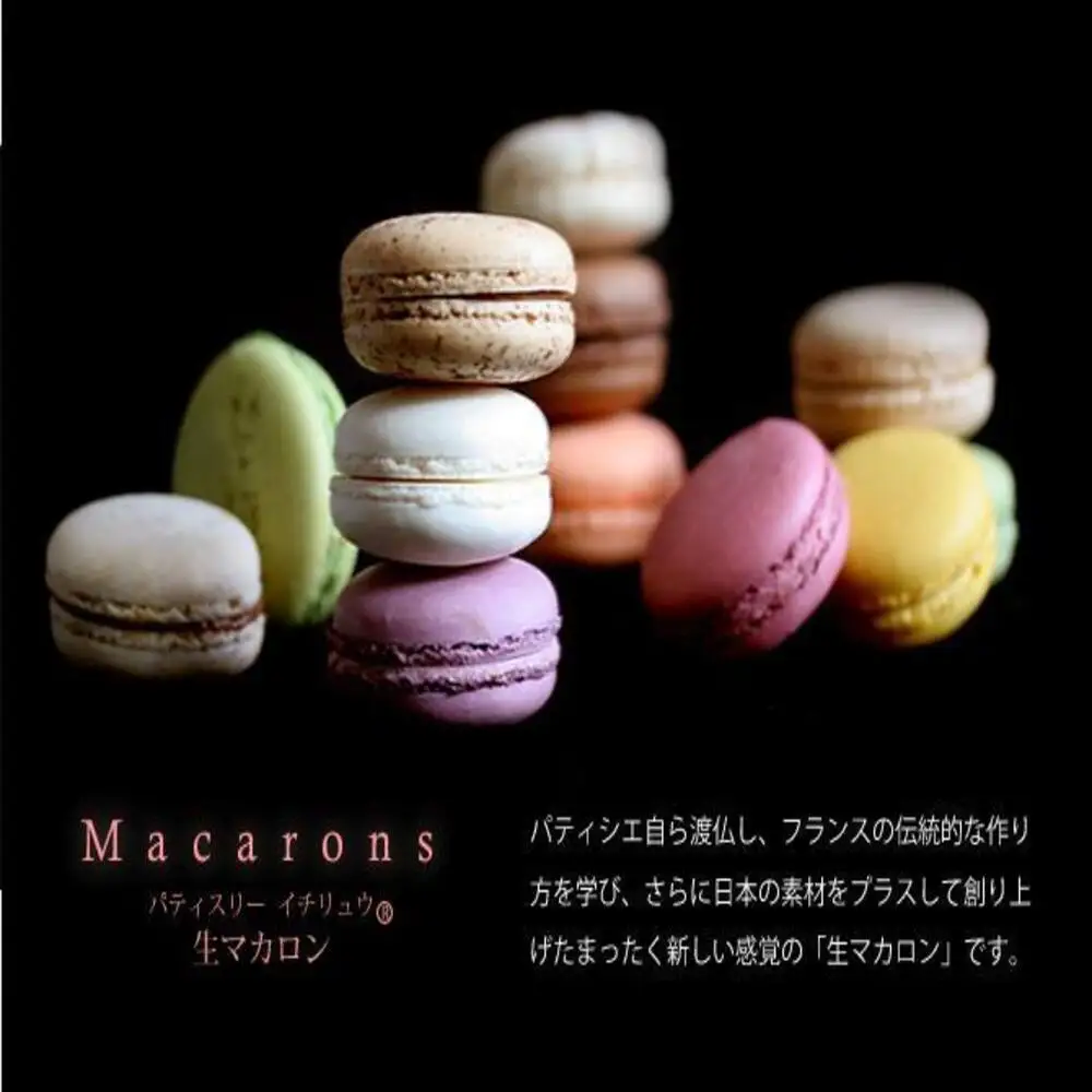 【定期便全6回】【福岡市】生マカロン（10個）×２箱セット | 菓子 おかし 食品 マカロン