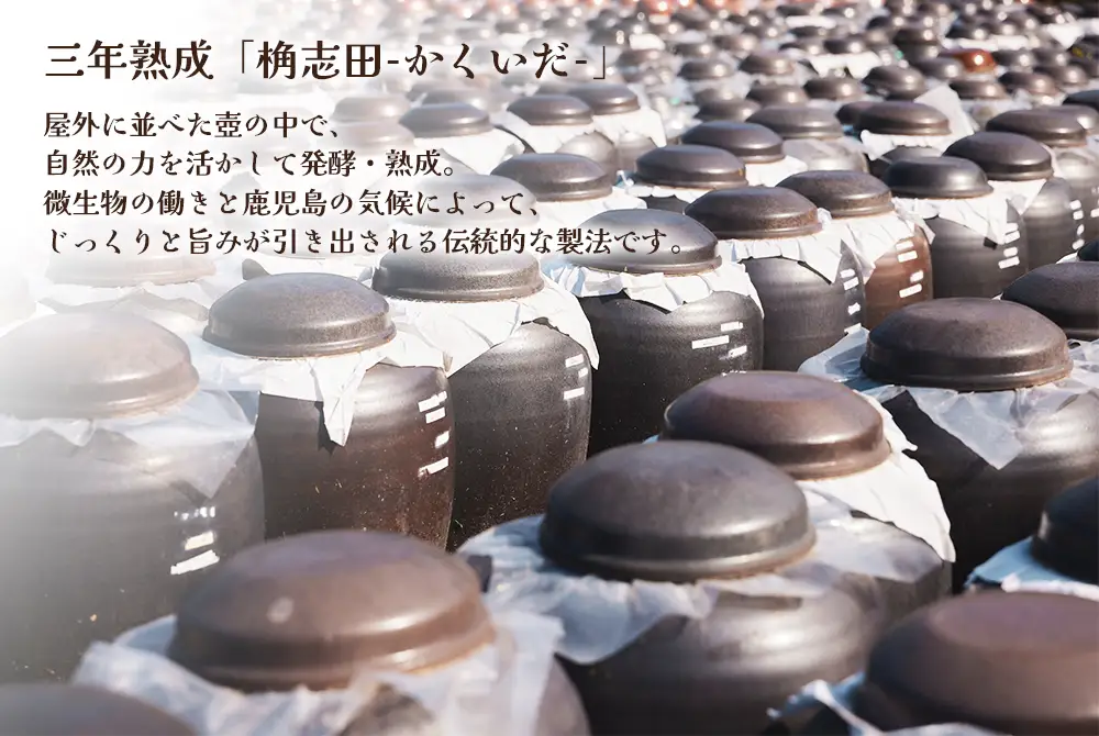 B2-0866／SUJJA りんご黒酢＆ブルーベリー黒酢 2本セット