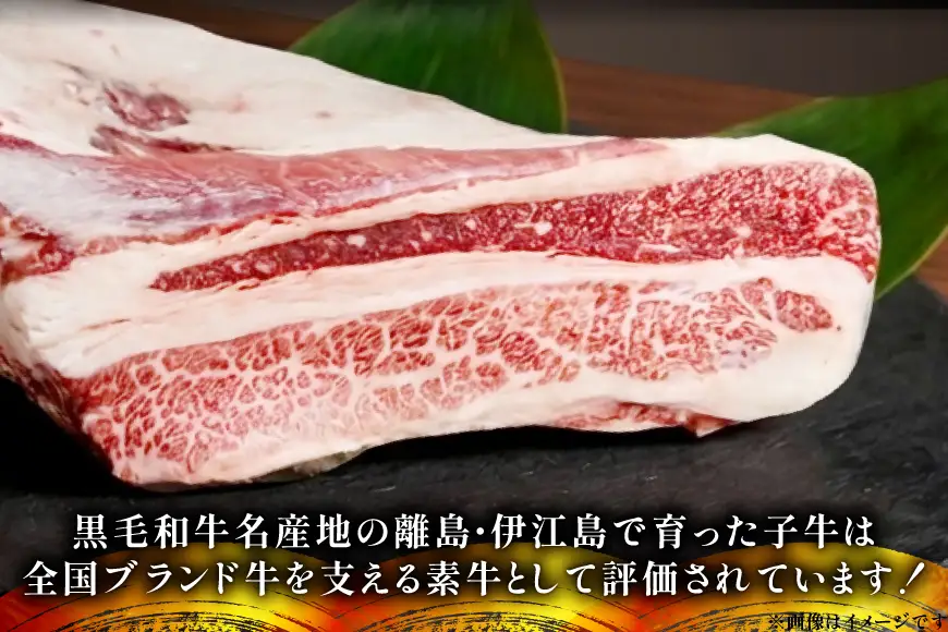 牛肉 伊江島牛 切り落とし 250g 2p 計500g [JAおきなわAコープ 沖縄県 伊江村 ie47bmw520001]