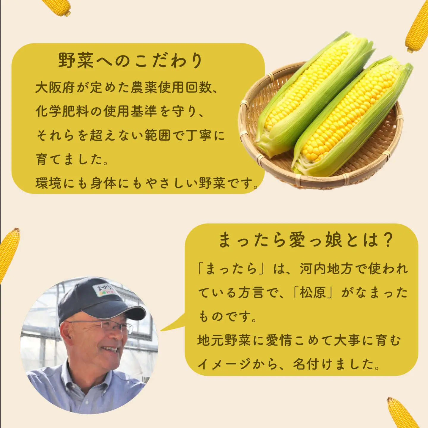 【先行予約】糖度15度以上 フルーツ級の甘さ とうもろこし スイートコーン 8本 有機肥料使用