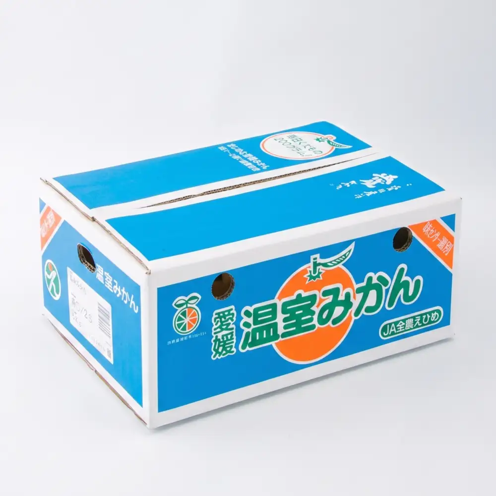 【7月下旬頃から順次発送】 ハウスみかん 5.0kg / 2S~Mサイズ 〇品 ご家庭用 | 愛媛県産 みかん 蜜柑 オレンジ 柑橘 果物 フルーツ 家庭用 お取り寄せ おすすめ 愛媛県 松山市【FA113】