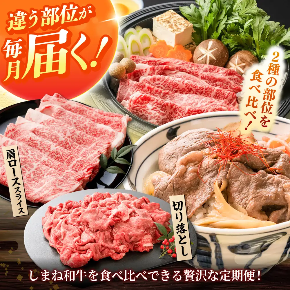 【全2回定期便】島根和牛 おかず格上げコース 和牛 牛肉 定期便 肉 切り落とし ロース / 島根県雲南市 / フジキコーポレーション株式会社[AIEA012]