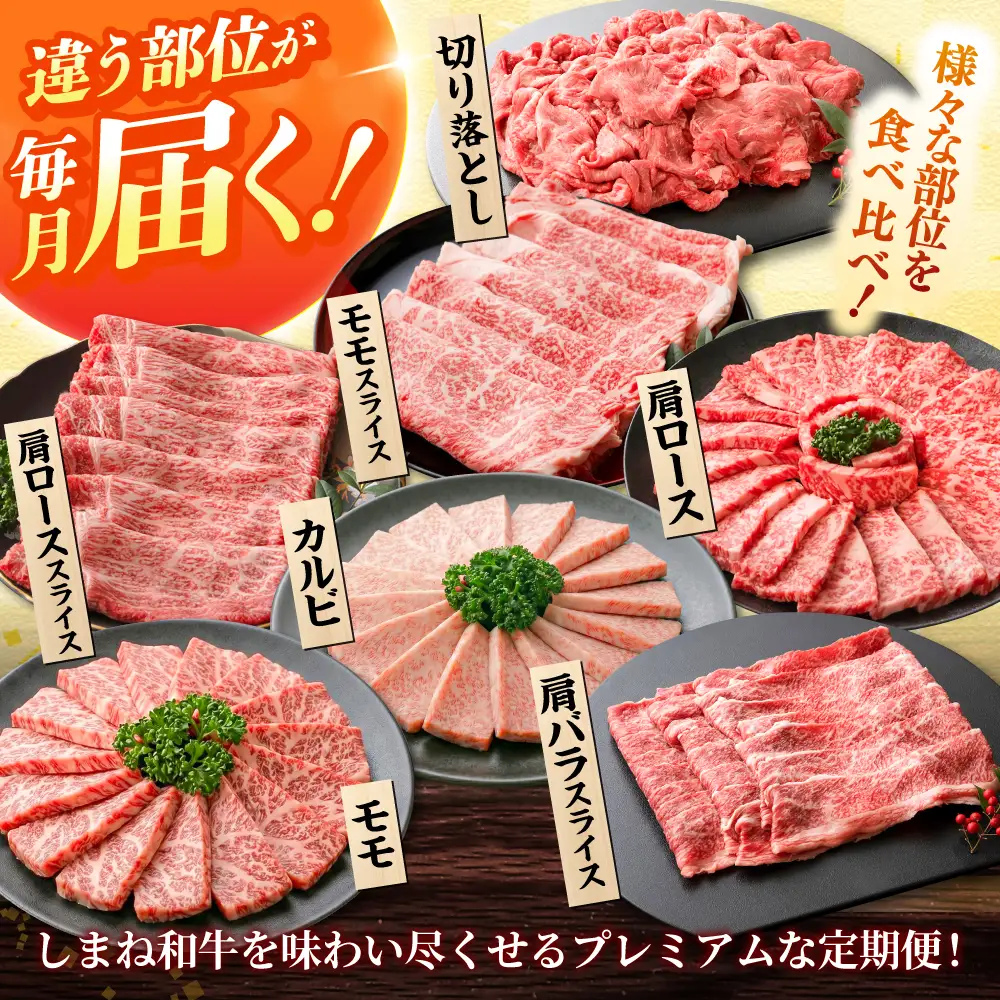 【全6回定期便】島根和牛プレミアセット 和牛 牛肉 定期便 肉 焼肉 すき焼き / 島根県雲南市 / フジキコーポレーション株式会社[AIEA013]