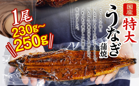 国産 うなぎ 蒲焼 3尾 （690g～750g）と 特製タレ 3個 セット 鰻 ウナギ 蒲焼き うなぎ蒲焼 セイロ蒸し せいろ蒸し タレ付 冷凍 父の日