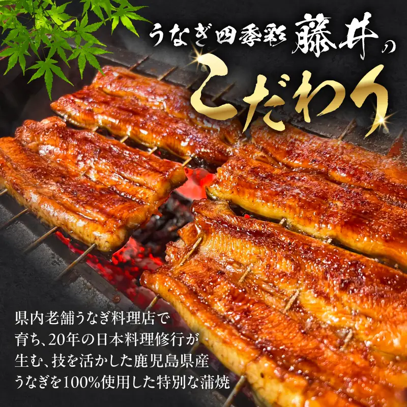 養殖日本一 鹿児島県産 うなぎ蒲焼職人仕上げ 2尾セット K399-001 ウナギ 蒲焼 養殖