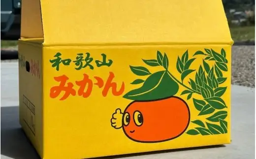＼訳あり／ ゆら早生みかん 5kg / みかん ミカン 和歌山県 柑橘 早生 甘い 蜜柑 フルーツ 果物 くだもの 食品  産地直送 由良町 ご家庭用 ゆら早生 早生みかん ※2026年10月上旬～10月下旬頃に順次発送予定【kwgc003-c-5】