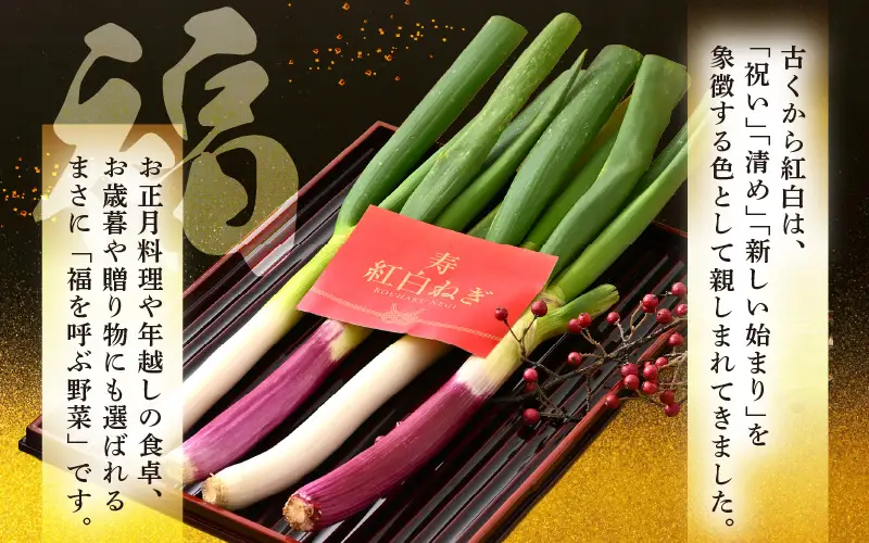 【先行予約】 期間限定 「紅白ねぎ」 紅ねぎと白ねぎ各1本 合計2本袋入り × 2袋 (合計4本) 【2026年12月上旬以降順次発送予定】 [A-2619]