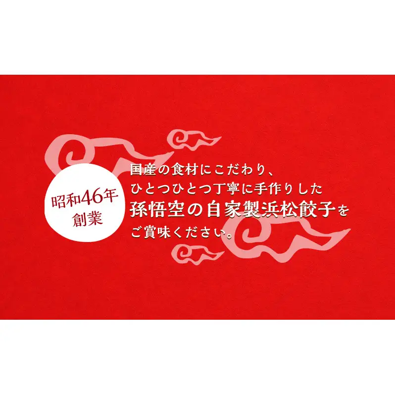 【定期便 4回 3か月毎】孫悟空 浜松餃子 100個（50個×2パック）（タレ・唐辛子付）餃子 ギョーザ 冷凍餃子 冷凍ぎょうざ 孫悟空 冷凍食品 あっさり ヘルシー 国産 中華 元祖 惣菜 食品 つまみ 静岡 浜松市