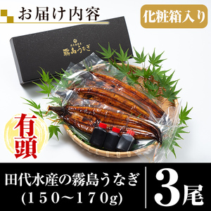 B-128-RZ ＜冷蔵でお届け＞霧島市育ちのあの「うなぎ」150～170g×3尾【田代水産】霧島市 うなぎ蒲焼 国産 鹿児島 うなぎ 鰻 ウナギ 高級 蒲焼き 蒲焼 かばやき タレ