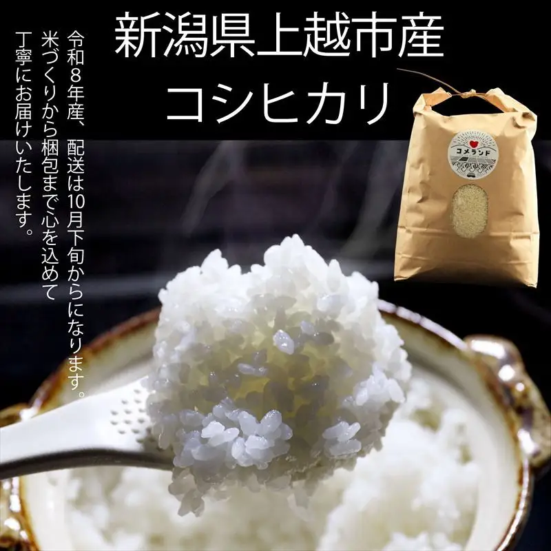 令和8年産 新潟県上越市産 コシヒカリ 5kg 5キロ 新米 先行予約 精米 新潟県上越市板倉区 コメランド こしひかり