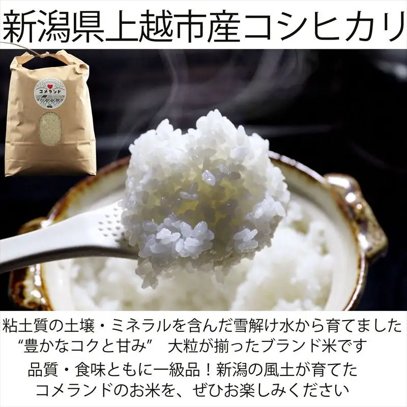 【令和8年6月下旬発送】令和7年産 新潟県上越市産 コシヒカリ 5kg 5キロ 精米 新潟県上越市板倉区 コメランド こしひかり