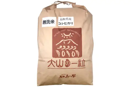 大山の一粒 無洗米 10kg【米 無洗米 10kg 10キロ こめ コメ むせんまい 先行予約 お米 白米 精米 こしひかり コシヒカリ 簡単 ごはん ライス kome 国産 お取り寄せ 鳥取県 大山町】