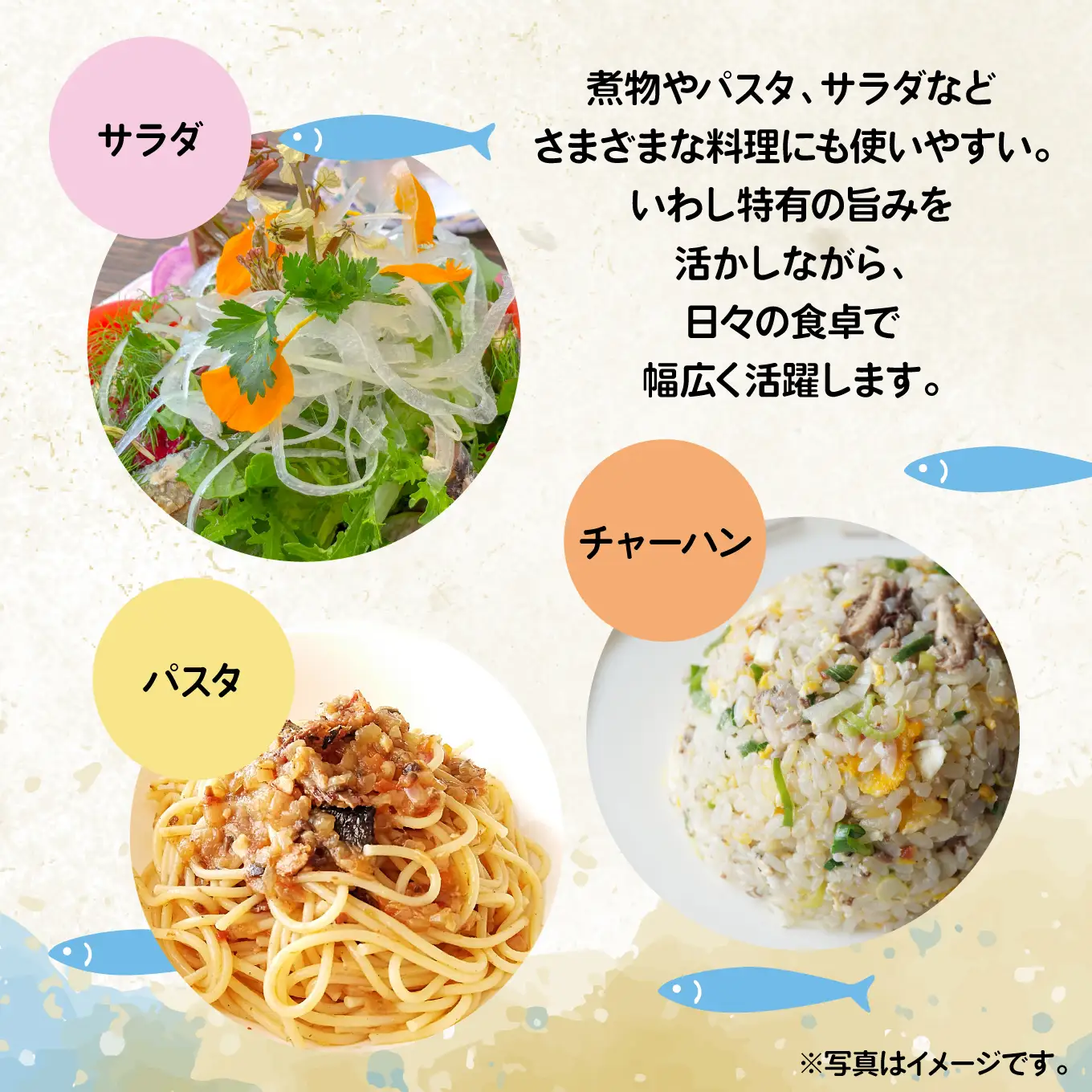 日本のいわし缶 水煮 食塩不使用 130gx12缶　HOKO 宝幸　青森県 八戸市