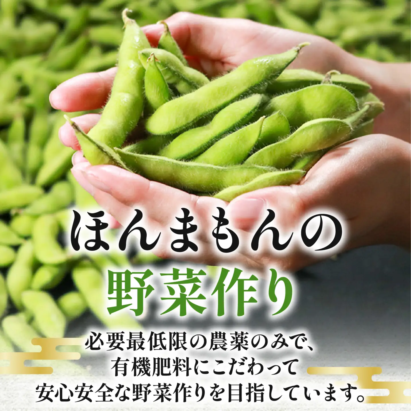 【濃厚な甘み】有機肥料 枝豆 大粒 2kg 冷蔵 上田ファーム