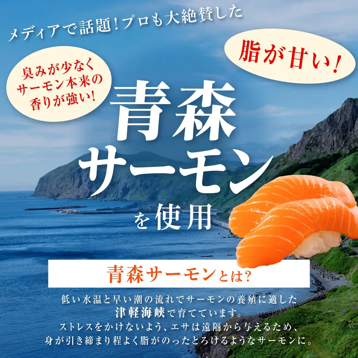 国産 トラウトサーモン 800g 鮭 サーモン さけ シャケ しゃけ sake カルパッチョ サーモン丼 ムニエル 生食用 刺身 お刺身 刺し身 産地 人気 高級 大満足 美味しい 贈答 魚介類 海鮮 冷凍 厚切り 薄切り 鮮度 HACCP ふるさと納税 北海道 白糠町_T010-1729