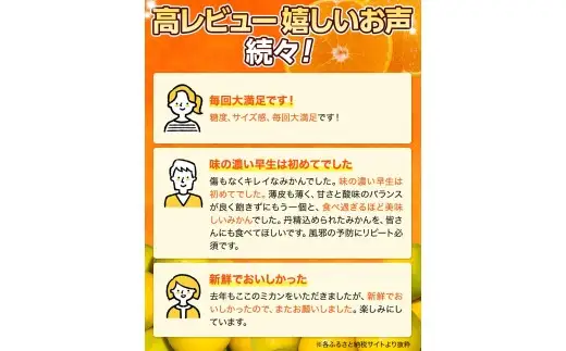 和歌山県産 ゆら早生みかん 10kg  / 和歌山県 柑橘 みかん 甘い 蜜柑 フルーツ 果物 くだもの 食品 人気  晩柑 おすすめ 送料無料 産地直送 由良町 ※2026年10月上旬頃～10月下旬頃に順次発送予定【kzmn003-r-10】