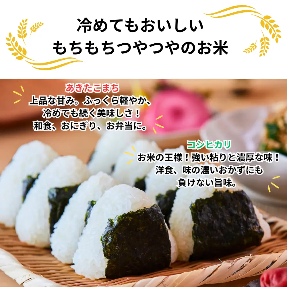 《先行予約 2026年10月発送》白米 5kg 令和8年産 コシヒカリ 岡山 「おおがや 芝桜米」 G-af-AFZA
