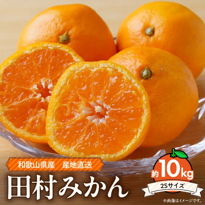 ZE6493_【2026年先行予約】和歌山 湯浅町産 田村みかん 約10kg【２Sサイズ】