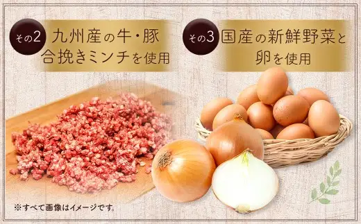 【定期便12回】豆腐ハンバーグセット 100g×15個入 豆腐ハンバーグ 冷凍 レンジ・湯煎で簡単 小分け 19,8000円 国産｜熊本県あさぎり町