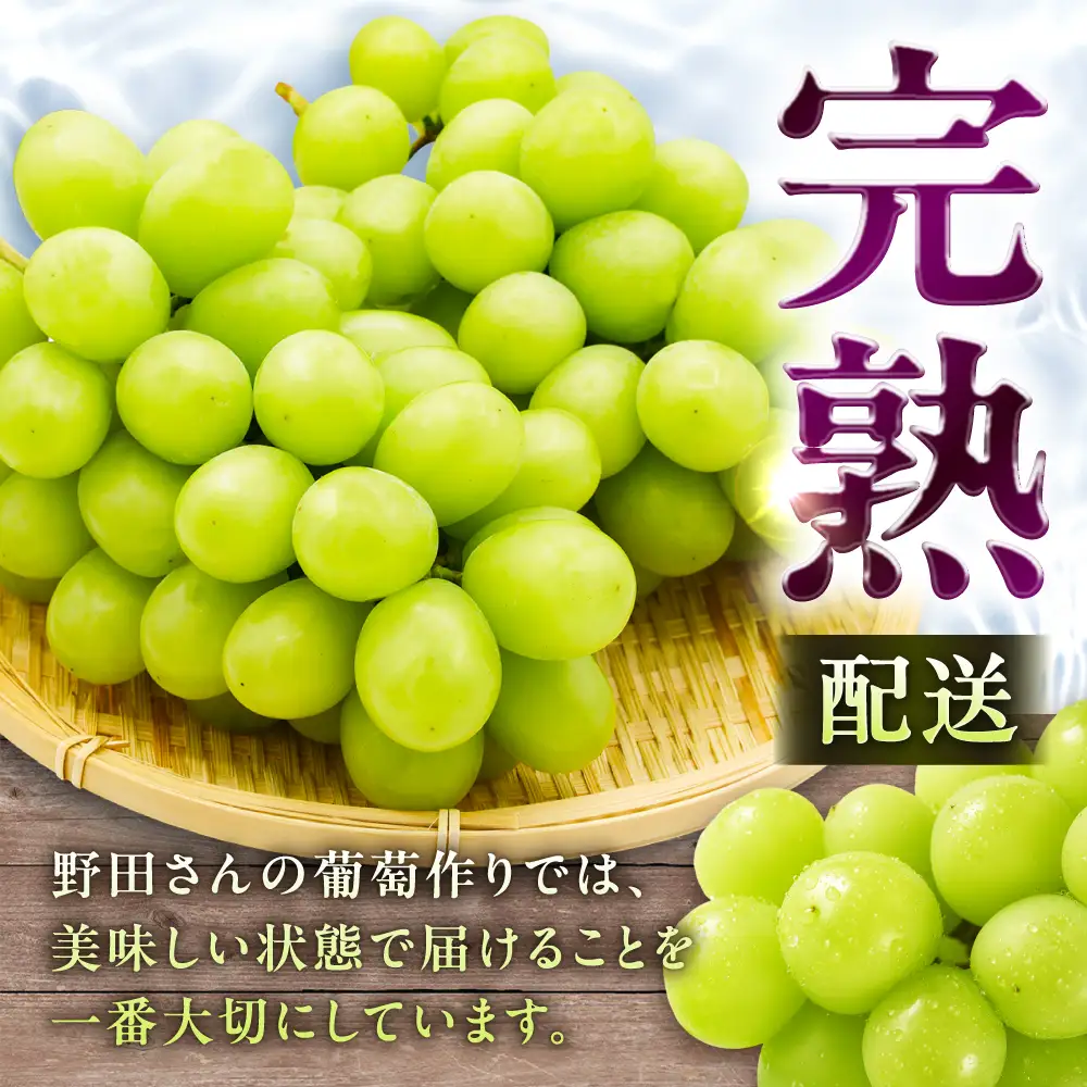 シャインマスカット 食べ比べ 4パック | ぶどう [AFCM001]