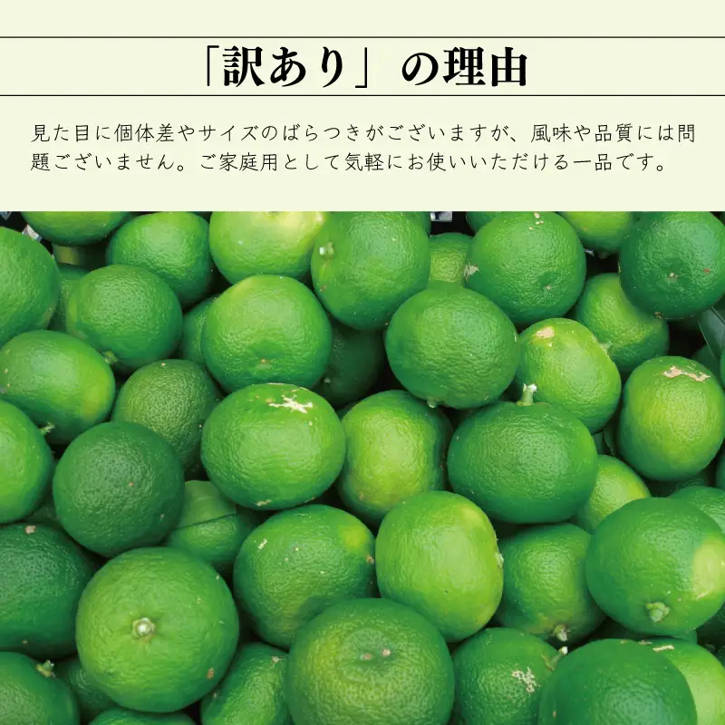訳あり すだち 1kg サイズ不揃い 家庭用
