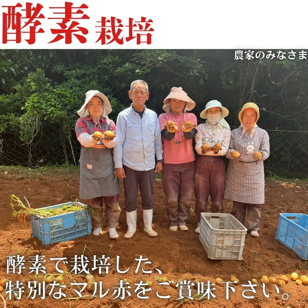 【予約商品】安芸津のじゃがいも　5kg【配送時期：7月上旬～下旬】