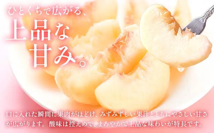 【2ヶ月定期便】 岡山の桃 約 1kg 桃 白桃 もも