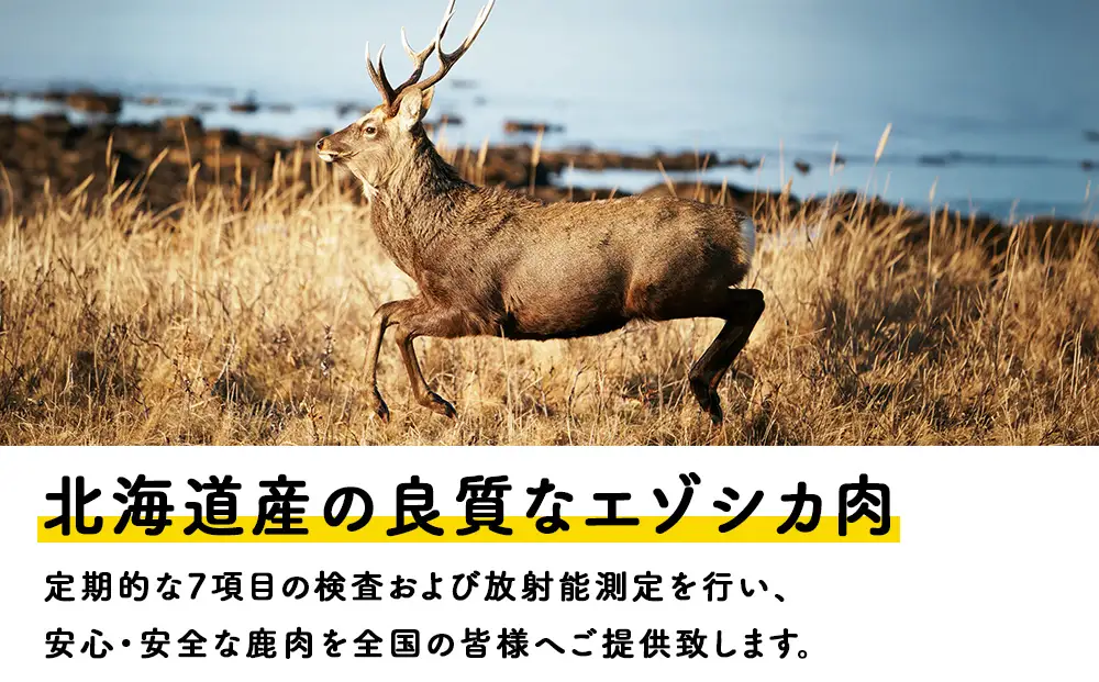 【定期便3回】エゾシカ水煮200g【鹿ごはんシリーズ】　10パック