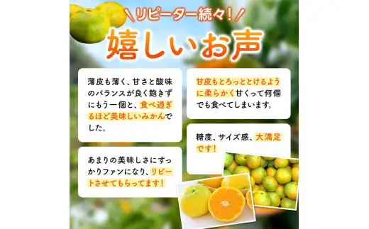 完熟ゆら早生みかん 3kg / 和歌山県 柑橘 みかん 甘い 蜜柑 フルーツ 果物 くだもの 食品 人気  晩柑 おすすめ 送料無料 産地直送 由良町 ※ 2026年11月上旬頃から11月中旬頃に順次発送予定【kzmn004-kan-3】
