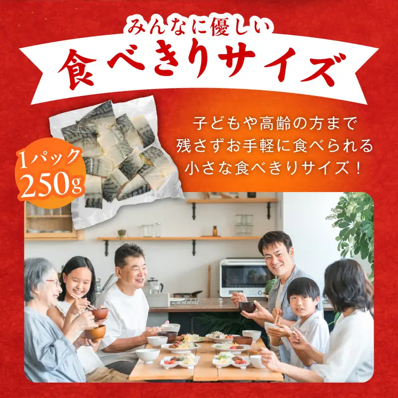 【お弁当サイズ】塩さば 500g（250g×2P）